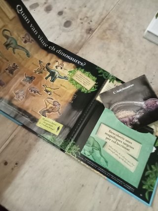 Libro Dinosaures