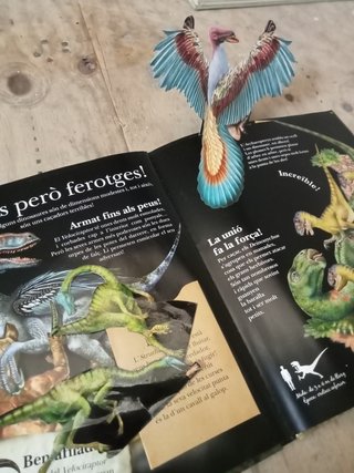 Libro Dinosaures