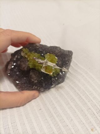 Amatista con camello