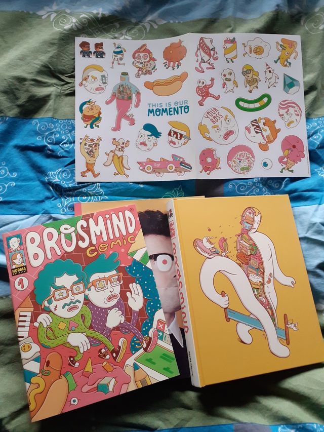 Brosmind, Why How What 1a ed.