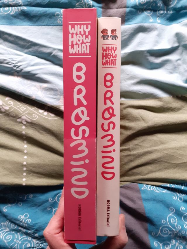 Brosmind, Why How What 1a ed.