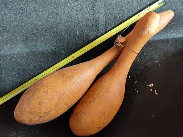 Calabaza peregrino para decorar