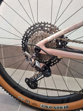 S-works EPIC EVO 