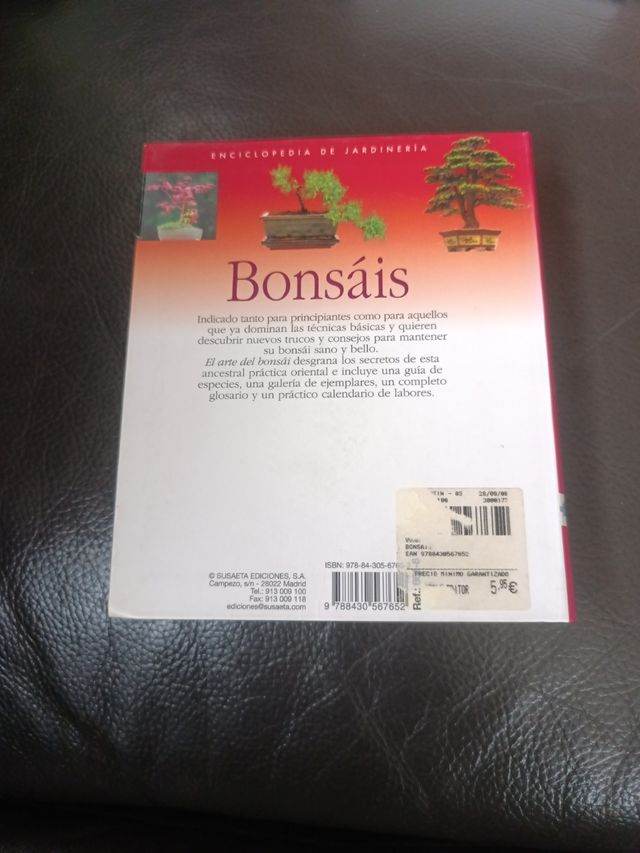 Bonsáis