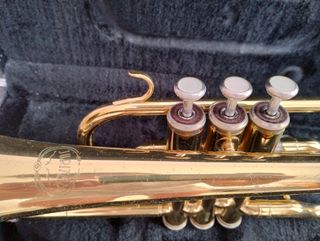 Corneta Júpiter dorada