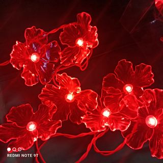 Decorazioni luminose a fiori