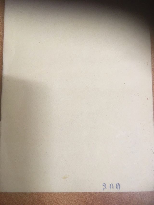 Vendo/Cambio Guía Catedral Milán