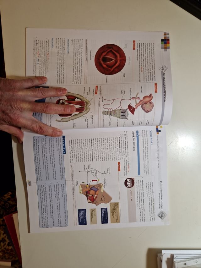 Manual CTO de Medicina y Cirugía - OTORRINOLARINGO