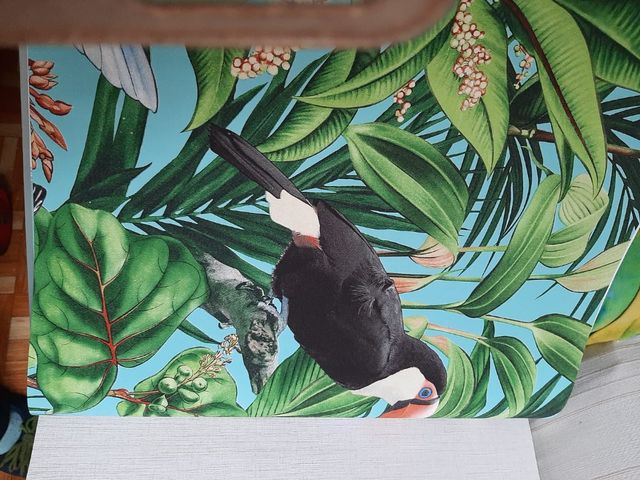 Muestrario papel pintado con textura