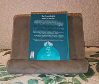 Un viejo gato gris mirando por la ventana (A La Orilla Del Viento, 219) (Spanish Edition)