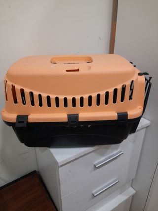 Transporting  perro/gato
