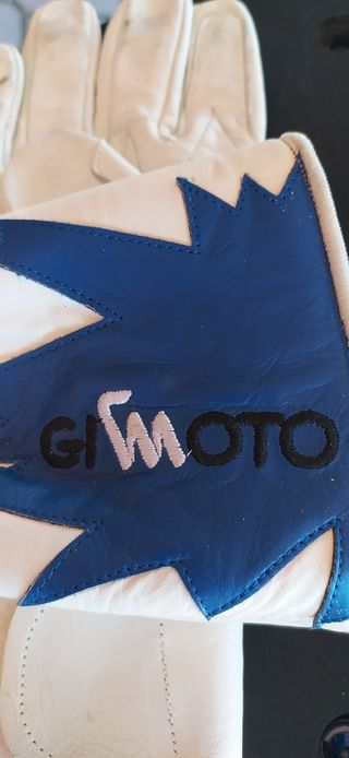 Guanti moto