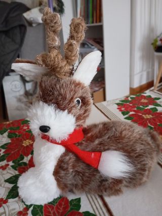 Lote Invernal- Navideño