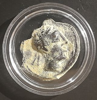 Semis de Linares – Toro, Cástulo (180-150 A.C)