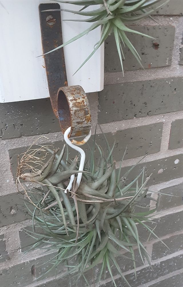 TORRETA CLAVELES DEL AIRE