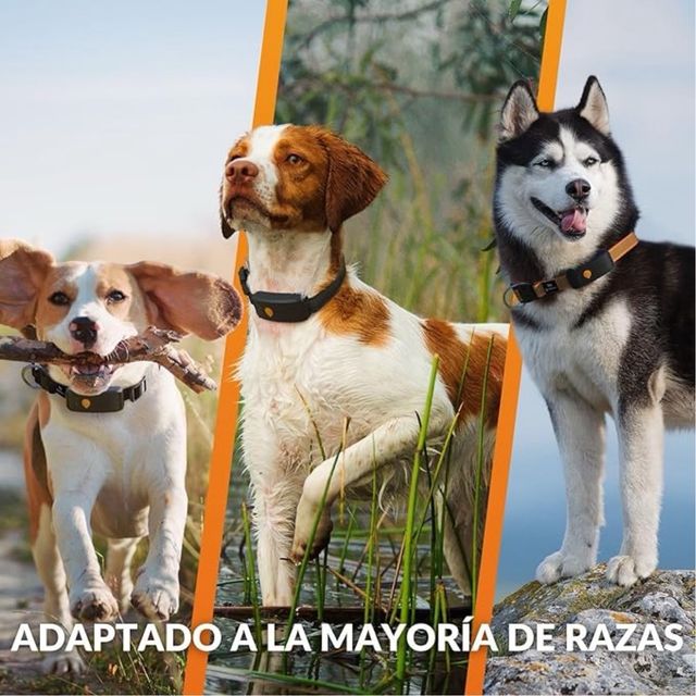 Nova Coleira GPS para Cães |Antena XL Selada