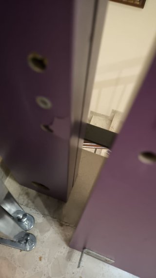 Cama nido