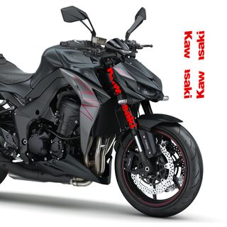 Pegatinas horquillas Kawasaki Z1000
