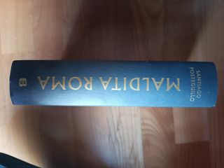 Maldita Roma: La conquista del poder de Julio César / Accursed Rome (SERIE JULIO CÉSAR) (Spanish Edition)