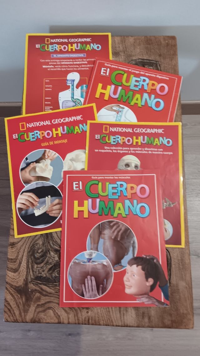 El Cuerpo Humano
