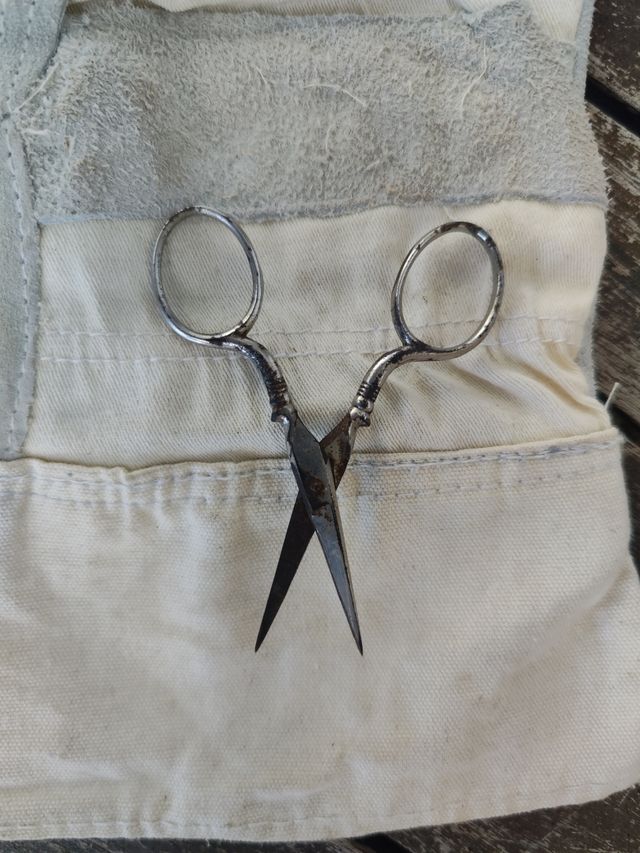 Tijeras de Dama siglo XIX Coleccion 