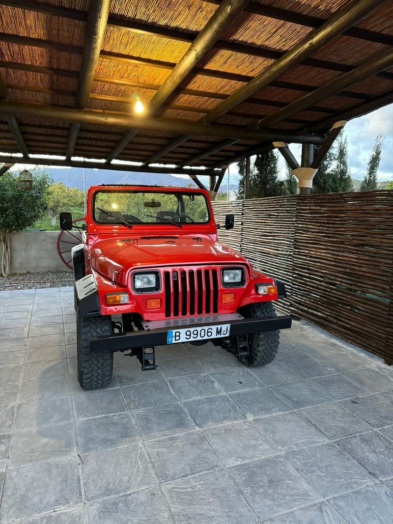 Jeep Wrangler 1994 - foto 1