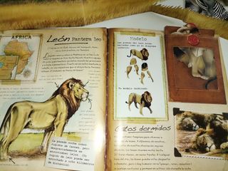Libro_Animales de la sabana