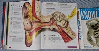 Libros de inglés - English books