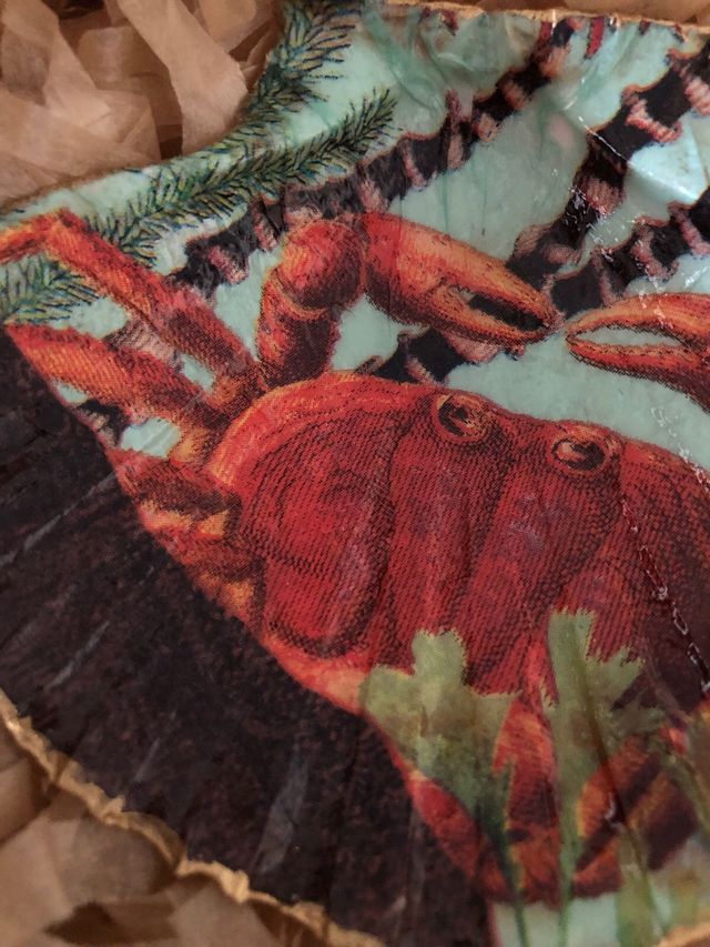 Platito concha vieira decoupage