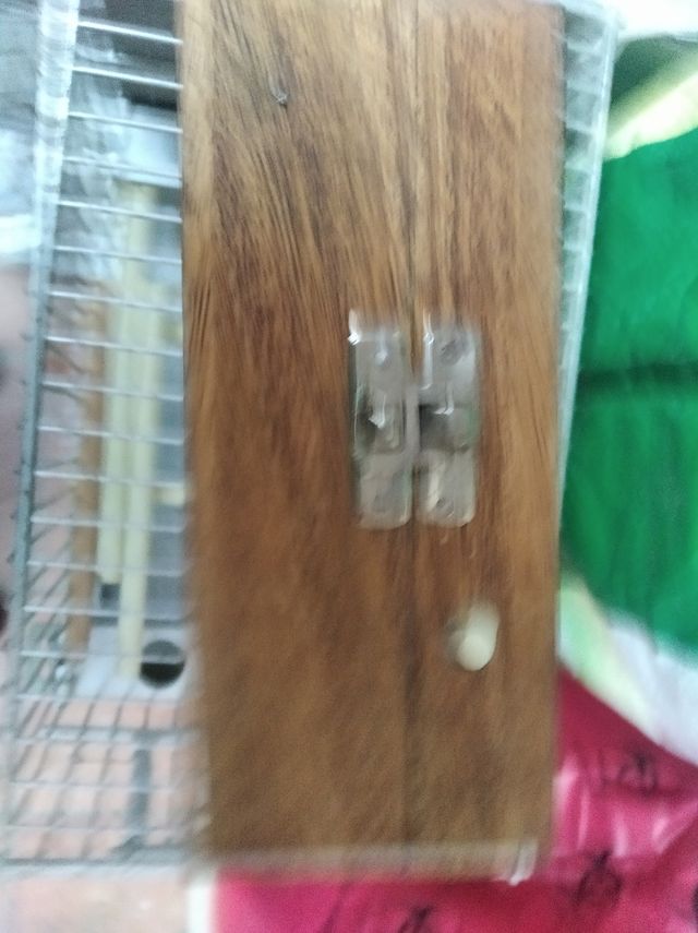 Caja para comprobar los huevos