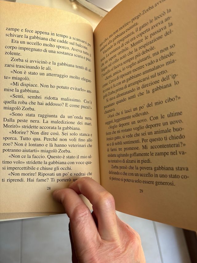 Storia di una gabbianella e del gatto ....