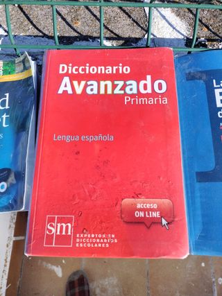 Diccionario Avanzado Primaria. Lengua española (Spanish Edition)