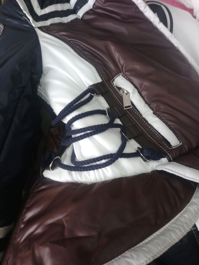 Plumifero highly preppy m