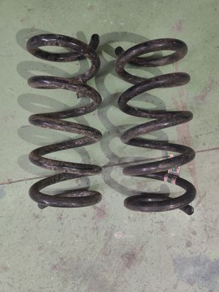 Muelles Suspensión Ford Mustang 5.0 GT