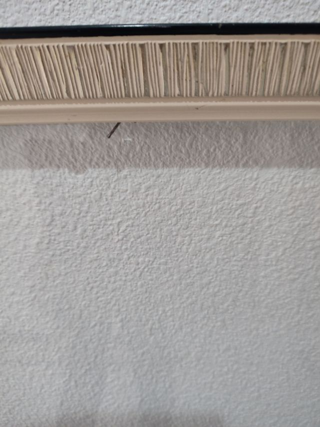 Marco Completo,con Cristal ..57 CMS  x 46 CMS  