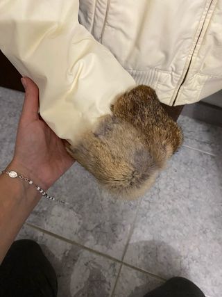 Woorlich bomber donna