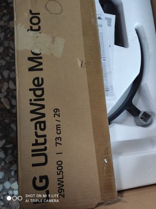 Monitor LG 29WL50d-b