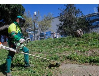 Servicio de jardinería 🌲🌳