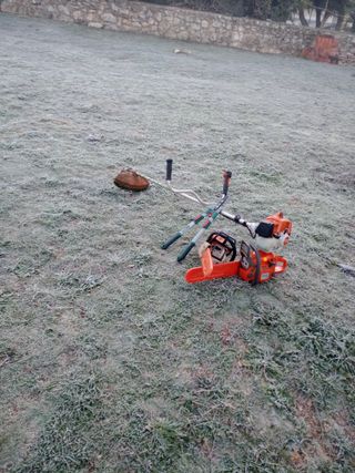 Se hace limpieza y desbroze de parcela