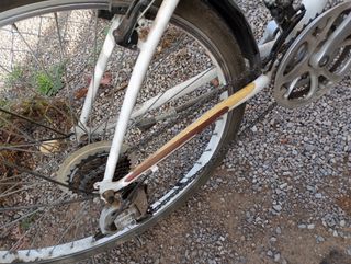 Bicicleta paseo