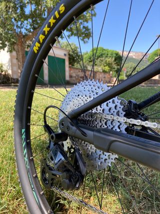 Orbea OIZ 2020 
