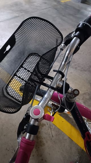 Bicleta niña 20 pulgadas