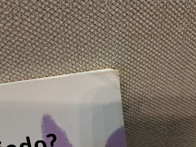 La pandilla de la ardilla 2. ¿Quién dijo miedo? (Spanish Edition)