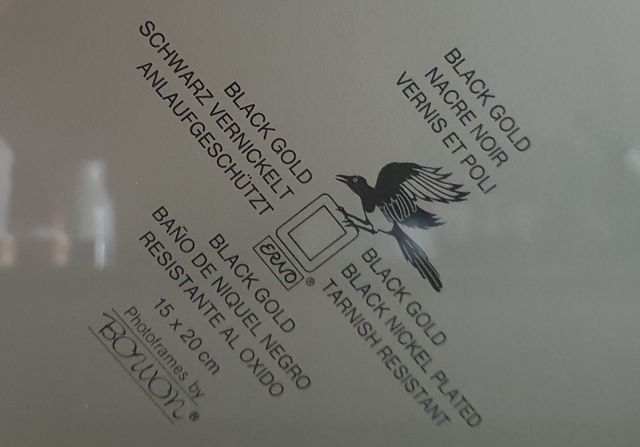 Moldura fotográfica. Novo