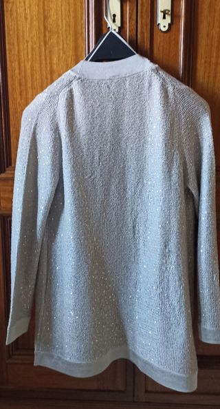 Chaqueta brillante plateada de Antea
