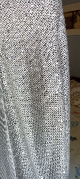 Chaqueta brillante plateada de Antea