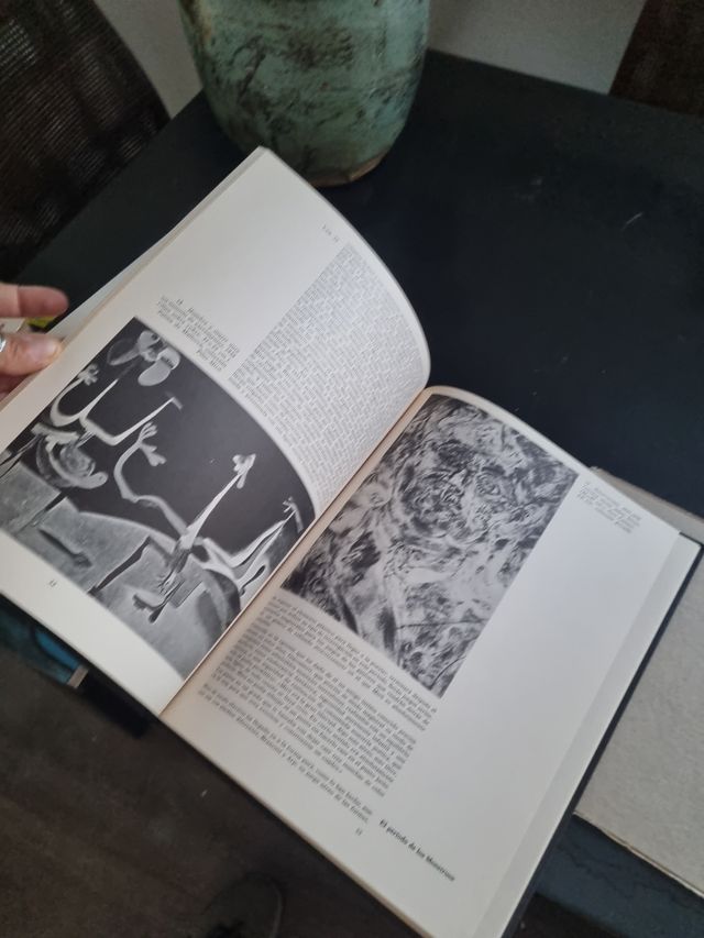 Miro - Libro arte. Español