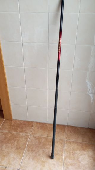 Caña fija pesca 3 m