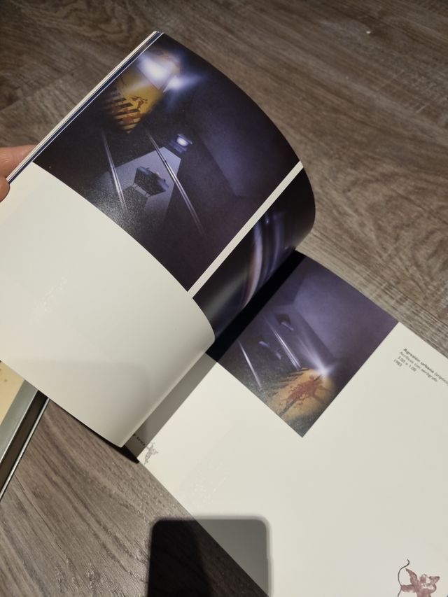 Bustos - Catalogo en Castellano