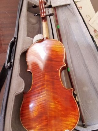 Viola de inicio